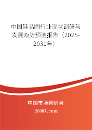 中国硅晶圆行业现状调研与发展趋势预测报告（2025-2031年）