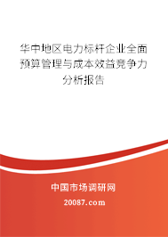 华中地区电力标杆企业全面预算管理与成本效益竞争力分析报告