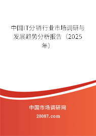 中国IT分销行业市场调研与发展趋势分析报告(2025年) 中国IT分销行业市场调研与发展趋势分析报告(2025年)