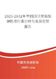 2025-2031年中国浇注聚氨酯弹性体行业分析与发展前景报告