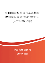 中国两轮脚踏自行车市场全面调研与发展趋势分析报告（2024-2030年）