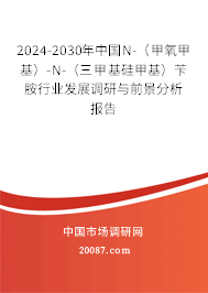 2024-2030年中国N-(甲氧甲基)-N-(三甲基硅甲基)苄胺行业发展调研与前景分析报告 2024-2030年中国N-(甲氧甲基)-N-(三甲基硅甲基)苄胺行业发展调研与前景分析报告
