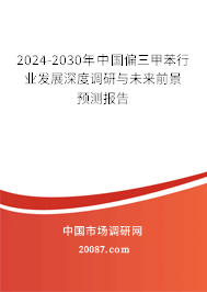 2024-2030年中国偏三甲苯行业发展深度调研与未来前景预测报告