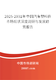 2025-2031年中国汽车塑料件市场现状深度调研与发展趋势报告