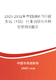 2025-2031年中国通航飞行服务站（FSS）行业调研与市场前景预测报告