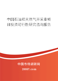 中国石油和天然气开采业项目投资可行性研究咨询报告