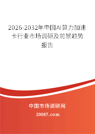 2026-2032年中国AI算力加速卡行业市场调研及前景趋势报告 2026-2032年中国AI算力加速卡行业市场调研及前景趋势报告