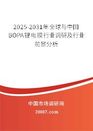 2025-2031年全球与中国BOPA锂电膜行业调研及行业前景分析
