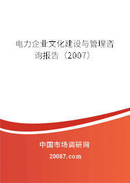 电力企业文化建设与管理咨询报告(2007) 电力企业文化建设与管理咨询报告(2007)