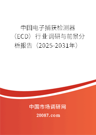 中国电子捕获检测器（ECD）行业调研与前景分析报告（2025-2031年）