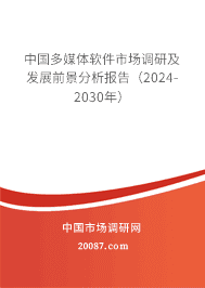 中国多媒体软件市场调研及发展前景分析报告(2023-2029年) 中国多媒体软件市场调研及发展前景分析报告(2023-2029年)