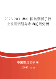 2025-2031年中国防潮腻子行业发展调研与市场前景分析
