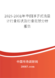 2025-2031年中国浮子式流量计行业现状及行业前景分析报告 2025-2031年中国浮子式流量计行业现状及行业前景分析报告