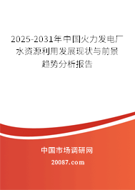 2025-2031年中国火力发电厂水资源利用发展现状与前景趋势分析报告