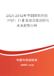 2025-2031年中国聚砜树脂（PSF）行业发展深度调研与未来趋势分析