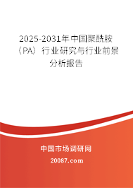 2025-2031年中国聚酰胺（PA）行业研究与行业前景分析报告