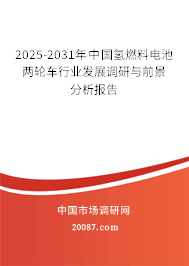 2025-2031年中国氢燃料电池两轮车行业发展调研与前景分析报告