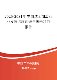 2025-2031年中国球团加工行业发展深度调研与未来趋势报告