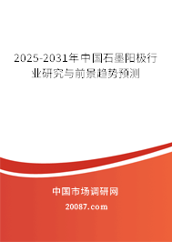 2025-2031年中国石墨阳极行业研究与前景趋势预测