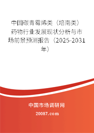 中国碳青霉烯类(培南类)药物行业发展现状分析与市场前景预测报告(2025-2031年) 中国碳青霉烯类(培南类)药物行业发展现状分析与市场前景预测报告(2025-2031年)