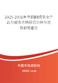 2025-2031年中国网络安全产品与服务市场研究分析与前景趋势报告