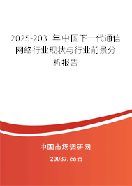2025-2031年中国下一代通信网络行业现状与行业前景分析报告