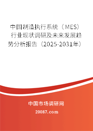 中国制造执行系统（MES）行业现状调研及未来发展趋势分析报告（2025-2031年）