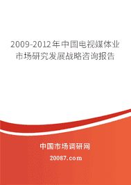 2009-2012���й�����ý��ҵ�г��о���չս����ѯ����