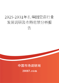 2025-2031年扎带固定座行业发展调研及市场前景分析报告