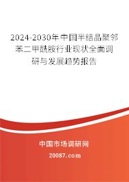 2024-2030年中国半结晶聚邻苯二甲酰胺行业现状全面调研与发展趋势报告