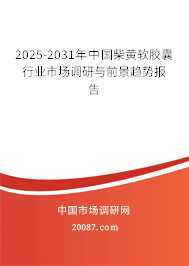 2025-2031年中国柴黄软胶囊行业市场调研与前景趋势报告