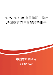 2025-2031年中国醋酸丁酯市场调查研究与前景趋势报告 2025-2031年中国醋酸丁酯市场调查研究与前景趋势报告