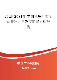 2025-2031年中国地埋灯市场调查研究与发展前景分析报告