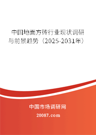 中国地面方砖行业现状调研与前景趋势（2025-2031年）