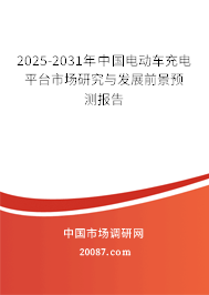 2025-2031年中国电动车充电平台市场研究与发展前景预测报告