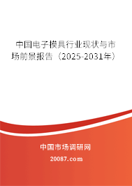 中国电子模具行业现状与市场前景报告(2025-2031年) 中国电子模具行业现状与市场前景报告(2025-2031年)