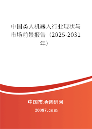 中国类人机器人行业现状与市场前景报告（2025-2031年）