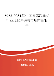 2025-2031年中国履带起重机行业现状调研与市场前景报告