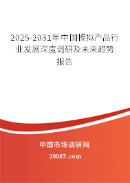2025-2031年中国模拟产品行业发展深度调研及未来趋势报告