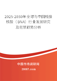 2025-2030年全球与中国桥接核酸(BNA)行业发展研究及前景趋势分析 2025-2030年全球与中国桥接核酸(BNA)行业发展研究及前景趋势分析