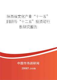 陕西省文化产业“十一五”回顾与“十二五”投资可行性研究报告