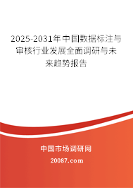 2025-2031年中国数据标注与审核行业发展全面调研与未来趋势报告 2025-2031年中国数据标注与审核行业发展全面调研与未来趋势报告