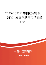 2025-2031年中国数字电视（DTV）发展现状与市场前景报告
