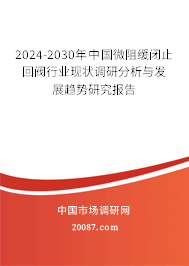 2024-2030年中国微阻缓闭止回阀行业现状调研分析与发展趋势研究报告