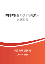中国磁性材料技术领域技术发展报告