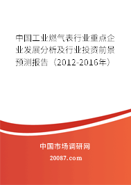 中国工业燃气表行业重点企业发展分析及行业投资前景预测报告(2012-2016年) 中国工业燃气表行业重点企业发展分析及行业投资前景预测报告(2012-2016年)