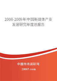 2008-2009���й���ý���ҵ��չ�о�����ܱ���