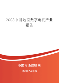 2008中国地面数字电视产业报告