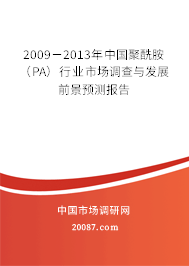 2009－2013年中国聚酰胺（PA）行业市场调查与发展前景预测报告