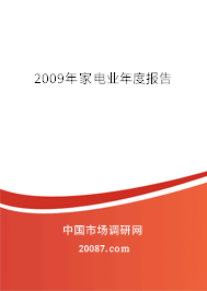 2009年家电业年度报告